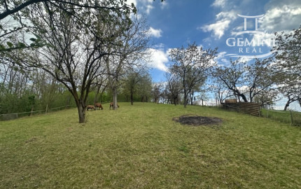 Rodinný dom s veľkou záhradou 1 868 m² – Vinice,  len 4  km od centra Rimavskej Soboty