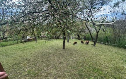 Rodinný dom s veľkou záhradou 1 868 m² – Vinice,  len 4  km od centra Rimavskej Soboty