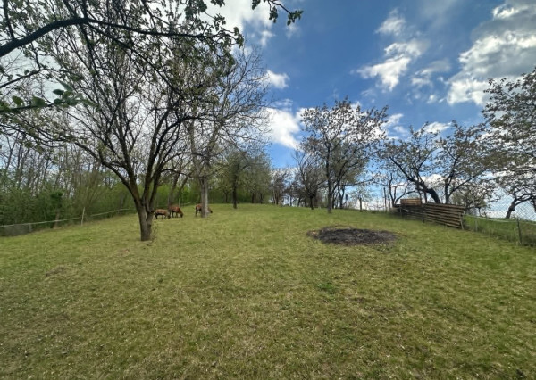 Rodinný dom s veľkou záhradou 1 868 m² – Vinice,  len 4  km od centra Rimavskej Soboty