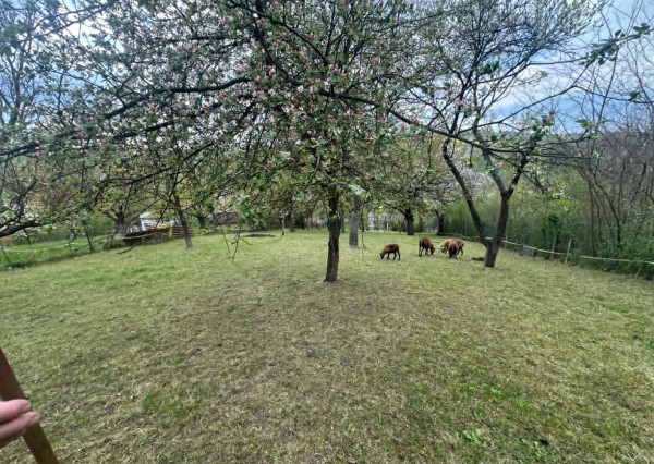 Rodinný dom s veľkou záhradou 1 868 m² – Vinice,  len 4  km od centra Rimavskej Soboty